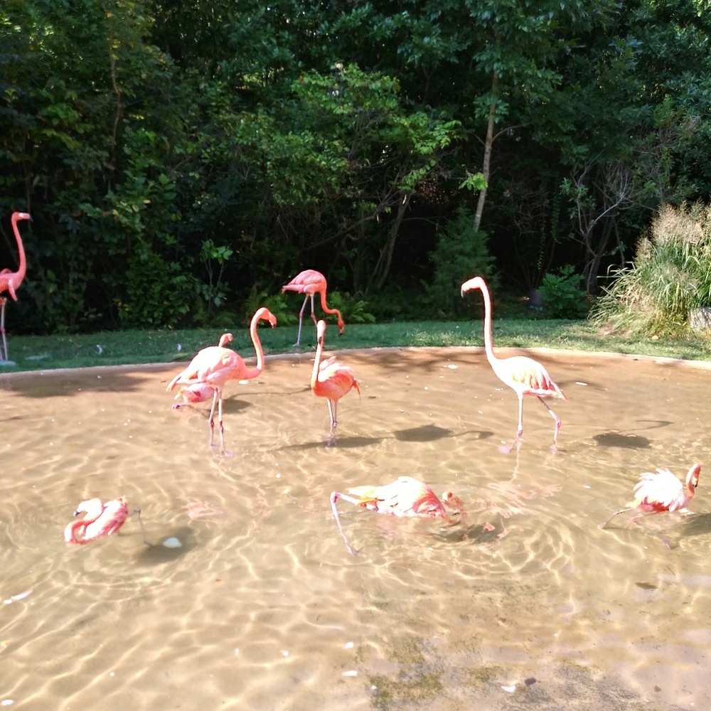 10 % off when you buy 2 or more watches together.